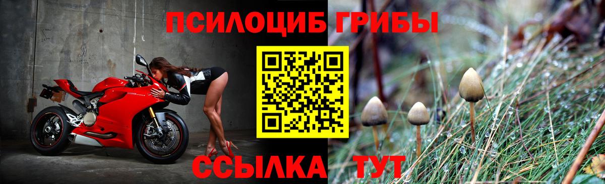 Галлюциногенные грибы MAGIC MUSHROOMS Изобильный