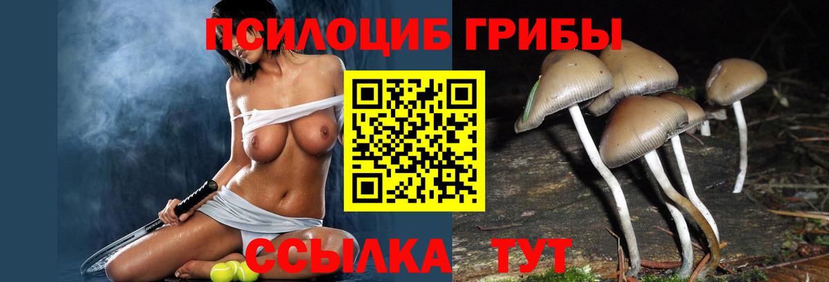 Галлюциногенные грибы мицелий  Вход с VPN  Изобильный 